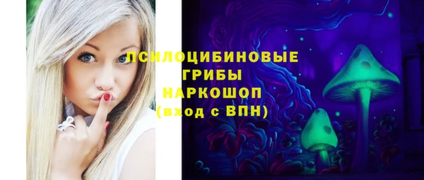 ГАЛЛЮЦИНОГЕННЫЕ ГРИБЫ Карталы