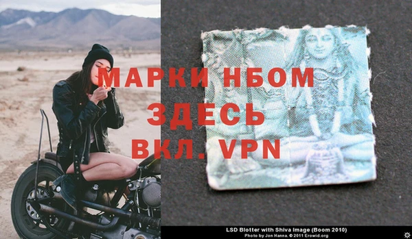 ГАЛЛЮЦИНОГЕННЫЕ ГРИБЫ Карталы