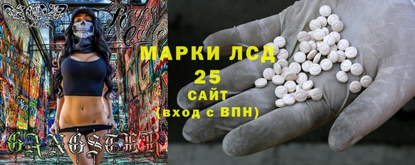 ГАЛЛЮЦИНОГЕННЫЕ ГРИБЫ Карталы