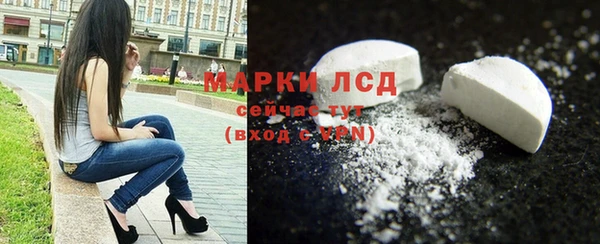 ГАЛЛЮЦИНОГЕННЫЕ ГРИБЫ Карталы