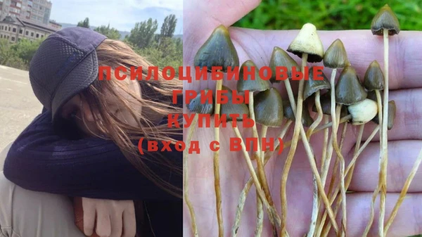 ГАЛЛЮЦИНОГЕННЫЕ ГРИБЫ Карталы