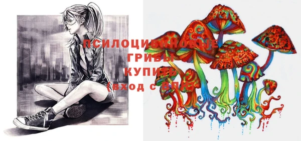 ГАЛЛЮЦИНОГЕННЫЕ ГРИБЫ Карталы