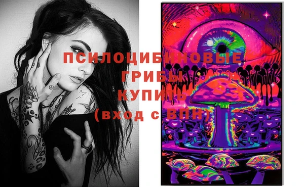 ГАЛЛЮЦИНОГЕННЫЕ ГРИБЫ Карталы