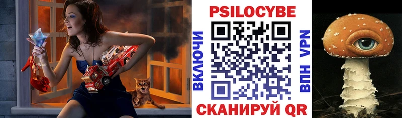 Купить где  Балашов  Псилоцибиновые грибы мицелий 